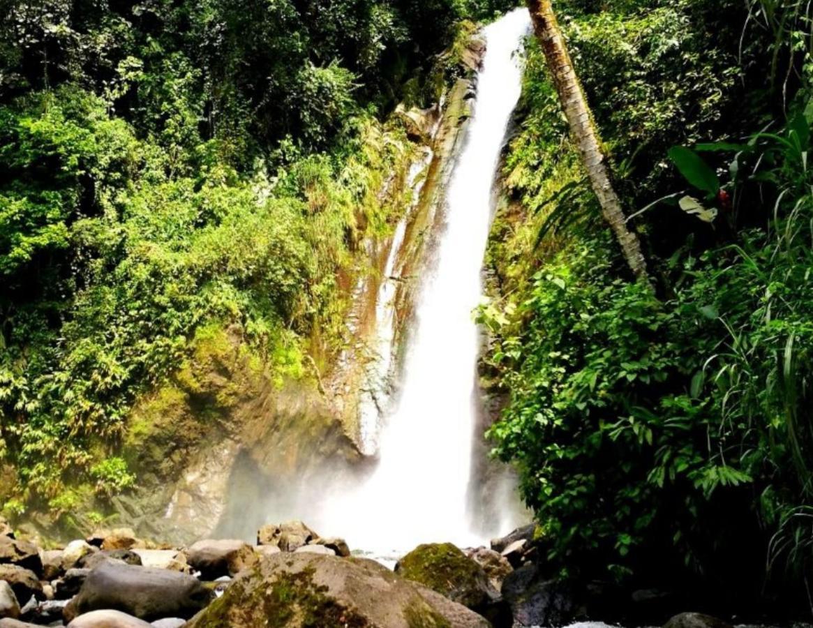 Hotel Wagelia Turrialba Esterno foto